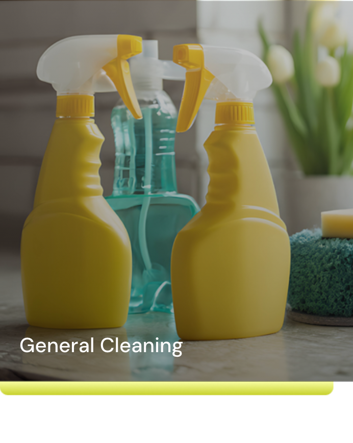 General Cleaning